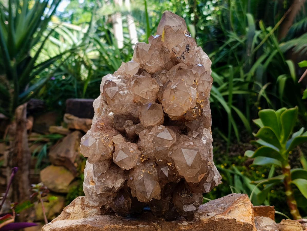 Natural XL White Phantom Cascading Smokey Luena Quartz Cluster x 1 From Luena, Congo