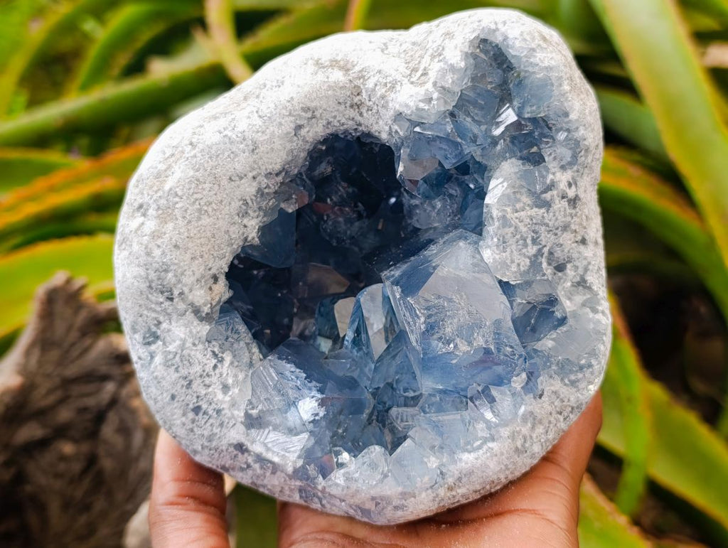 Natural Large Blue Celestite Geode Specimen x 1 From Sakoany, Madagascar