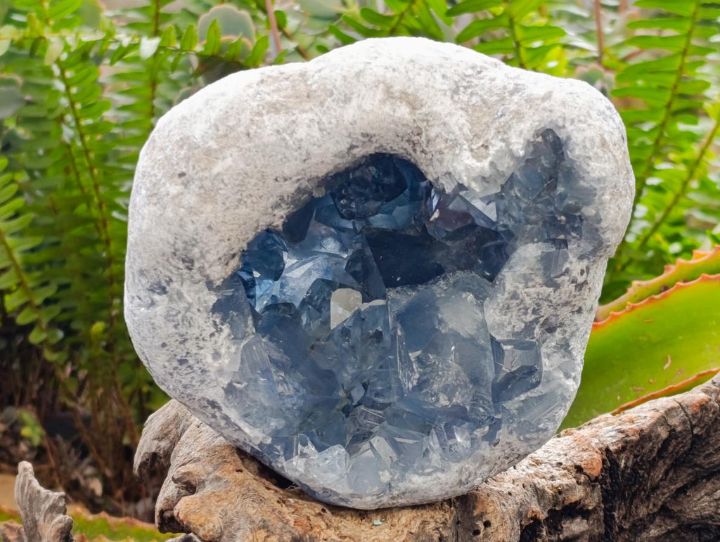 Natural Large Blue Celestite Geode Specimen x 1 From Sakoany, Madagascar