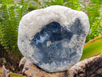 Natural Large Blue Celestite Geode Specimen x 1 From Sakoany, Madagascar