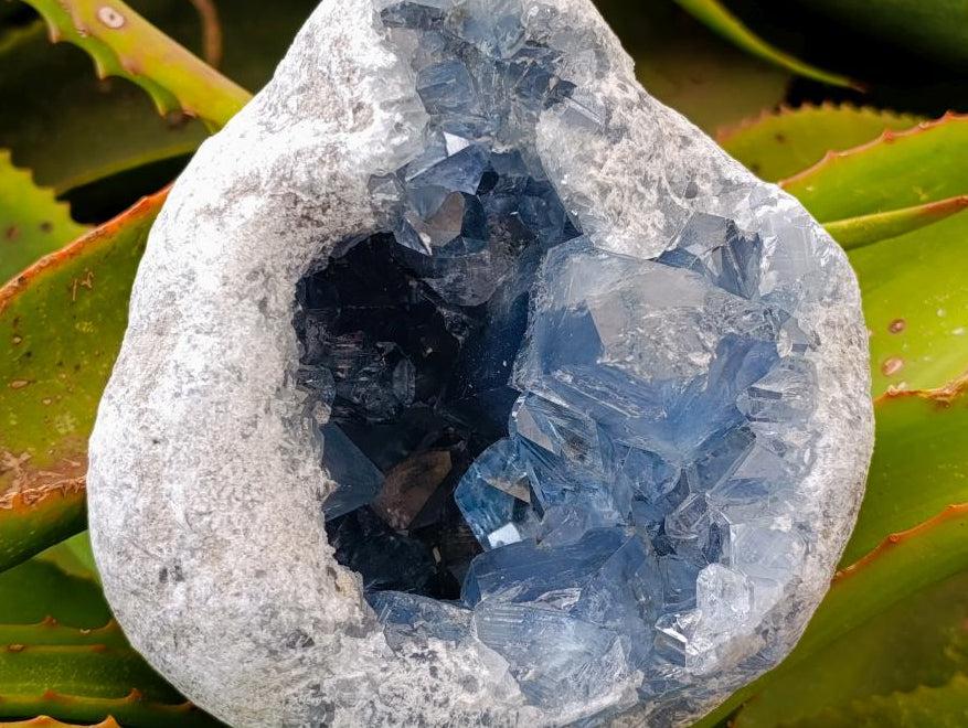 Natural Large Blue Celestite Geode Specimen x 1 From Sakoany, Madagascar