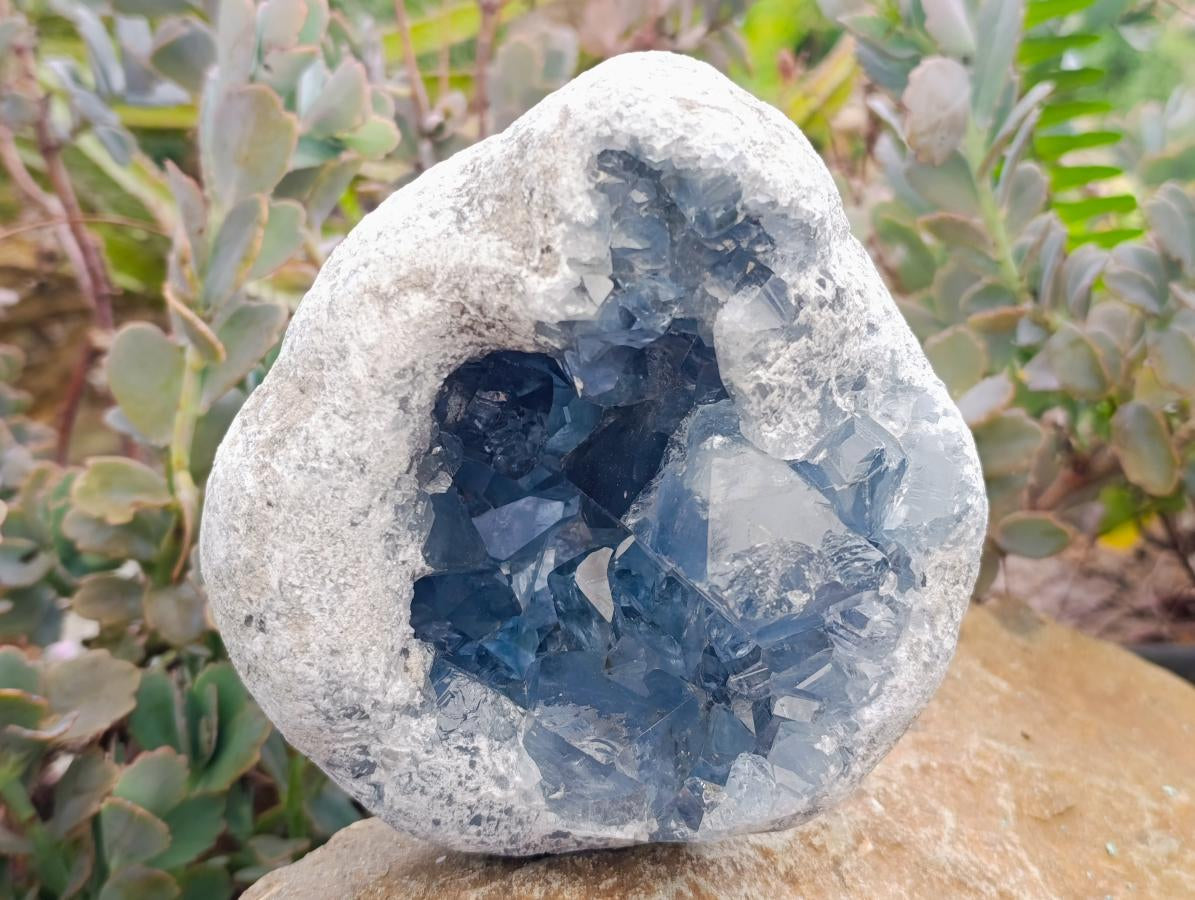 Natural Large Blue Celestite Geode Specimen x 1 From Sakoany, Madagascar