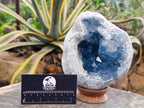 Natural Large Blue Celestite Geode Specimen x 1 From Sakoany, Madagascar
