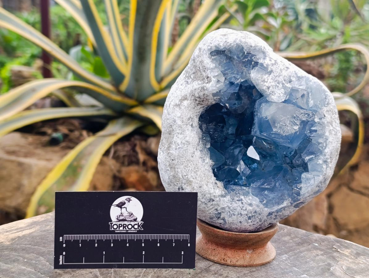 Natural Large Blue Celestite Geode Specimen x 1 From Sakoany, Madagascar