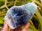 Polished On One Side Watermelon Fluorite Specimens x 6 From Uis, Namibia