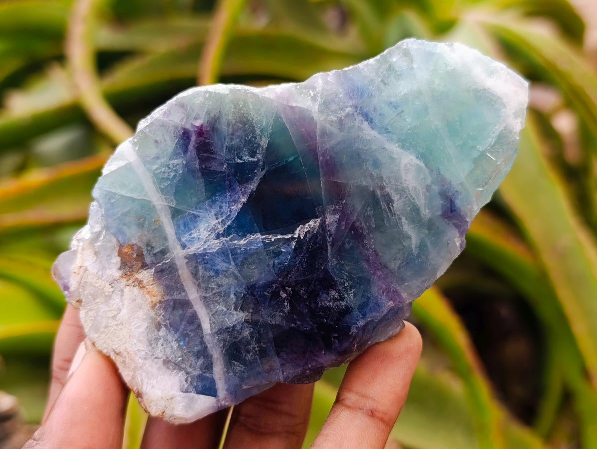 Polished On One Side Watermelon Fluorite Specimens x 6 From Uis, Namibia
