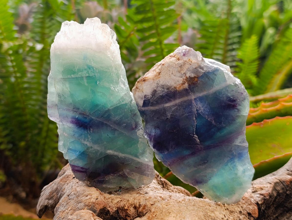 Polished On One Side Watermelon Fluorite Specimens x 6 From Uis, Namibia