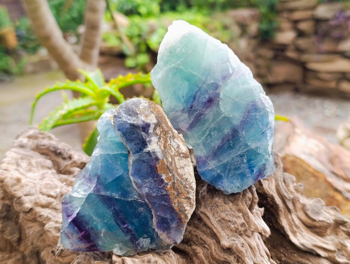 Polished On One Side Watermelon Fluorite Specimens x 6 From Uis, Namibia