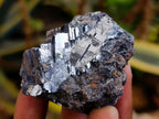 Natural Bright Silver Lead Galena Cobbed Specimens x 20 From Kaokoveld, Namibia