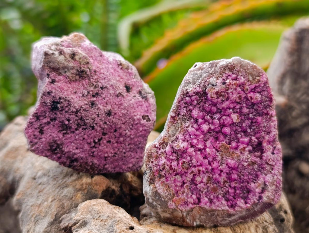 Natural Salrose Cobaltion Dolomite with Malachite Specimens x 12 From Kakanda, Congo