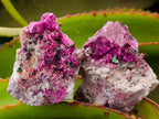 Natural Salrose Cobaltion Dolomite with Malachite Specimens x 12 From Kakanda, Congo