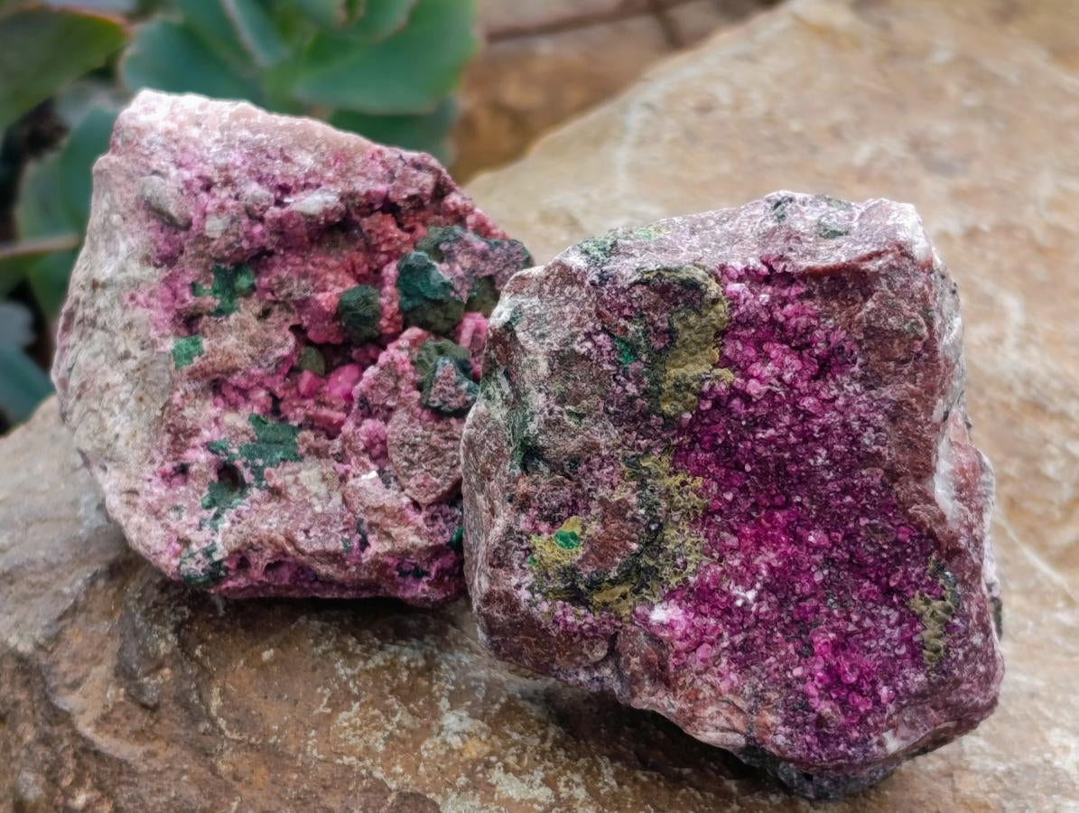 Natural Salrose Cobaltion Dolomite with Malachite Specimens x 12 From Kakanda, Congo