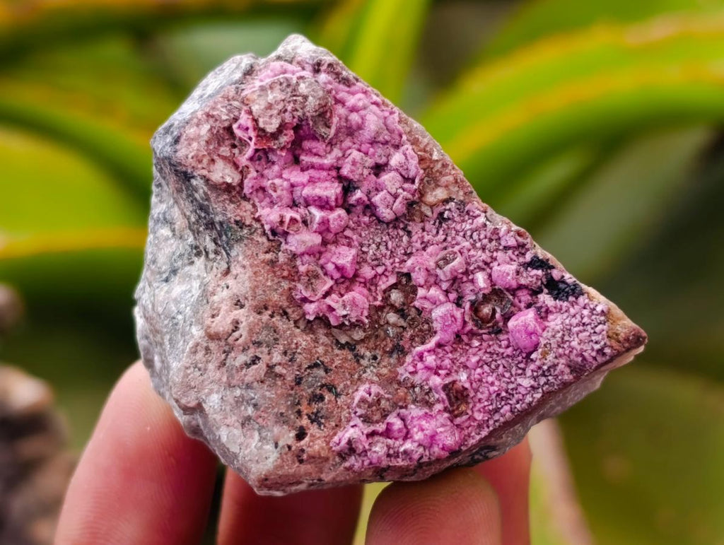 Natural Salrose Cobaltion Dolomite with Malachite Specimens x 12 From Kakanda, Congo