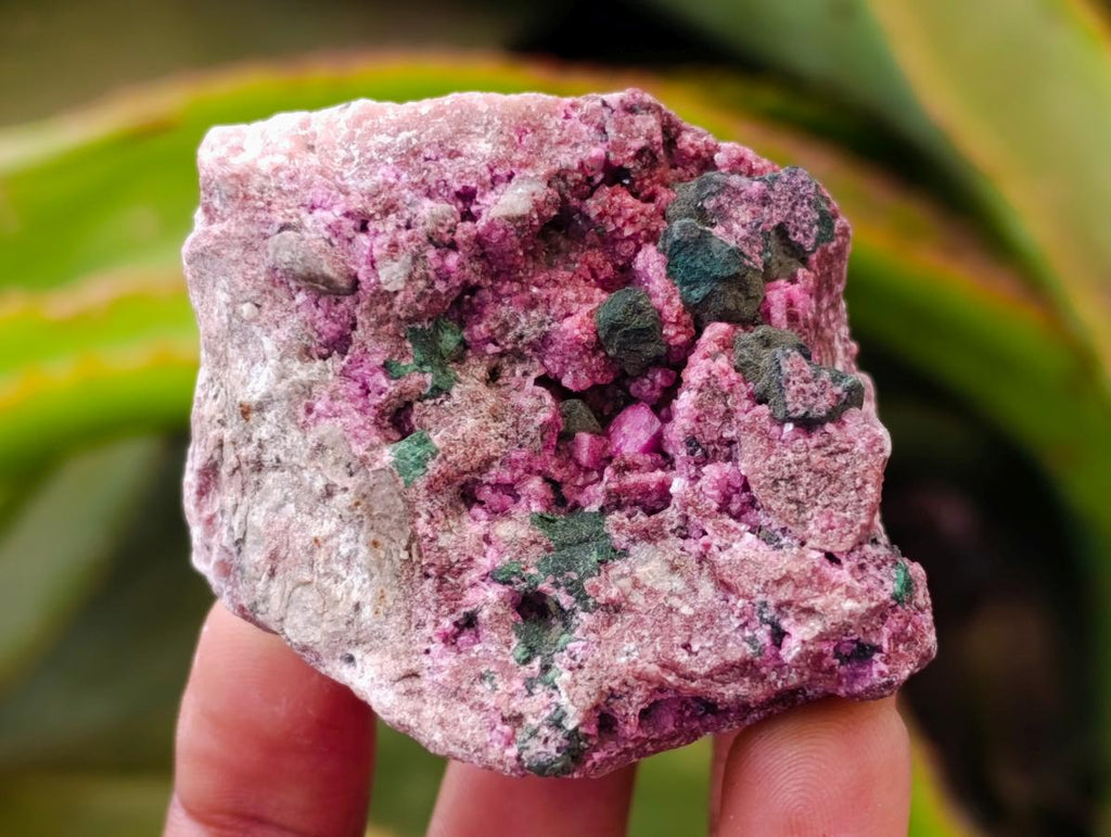 Natural Salrose Cobaltion Dolomite with Malachite Specimens x 12 From Kakanda, Congo