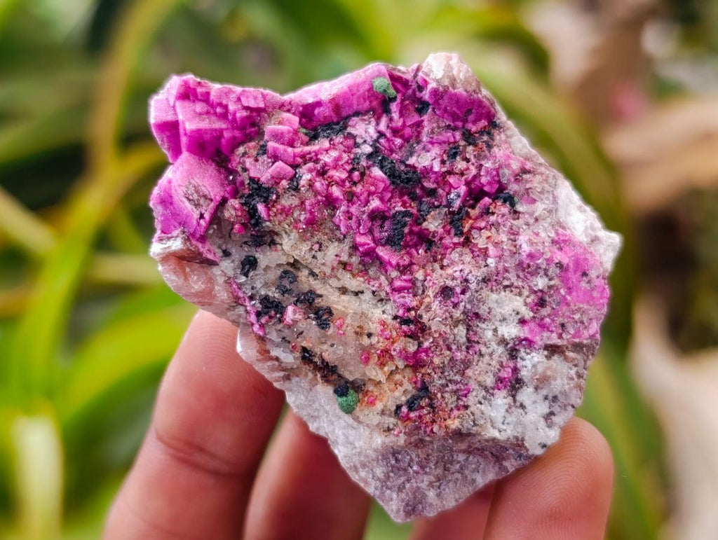 Natural Salrose Cobaltion Dolomite with Malachite Specimens x 12 From Kakanda, Congo