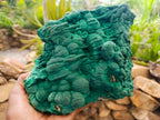 Natural Large Malachite Stalactite Cave Wall Specimen x 1 From Kolwezi, Congo