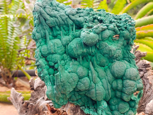 Natural Large Malachite Stalactite Cave Wall Specimen x 1 From Kolwezi, Congo