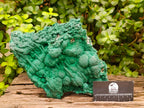 Natural Large Malachite Stalactite Cave Wall Specimen x 1 From Kolwezi, Congo