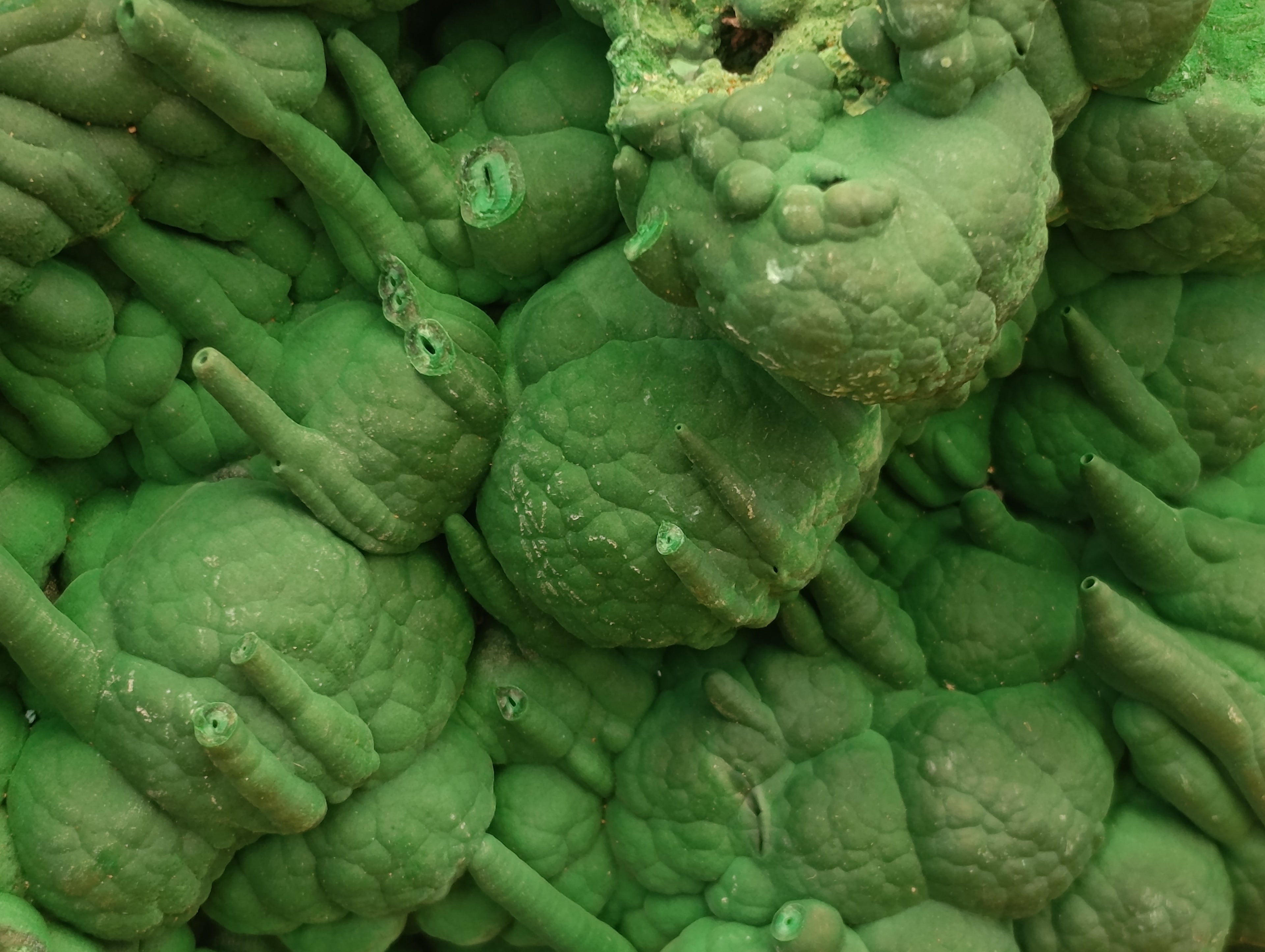 Natural Large Malachite Stalactite Cave Wall Specimen x 1 From Kolwezi, Congo