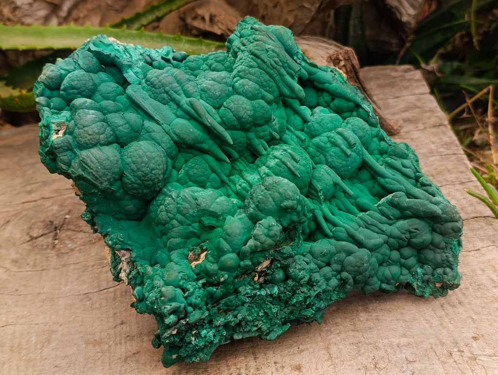 Natural Large Malachite Stalactite Cave Wall Specimen x 1 From Kolwezi, Congo