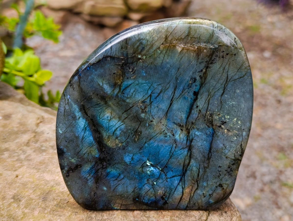 Polished Labradorite Standing Free Forms x 3 From Madagascar