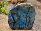 Polished Labradorite Standing Free Forms x 3 From Madagascar