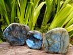 Polished Labradorite Standing Free Forms x 3 From Madagascar