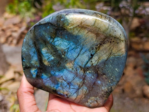 Polished Labradorite Standing Free Forms x 3 From Madagascar