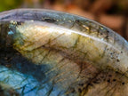 Polished Labradorite Standing Free Forms x 3 From Madagascar