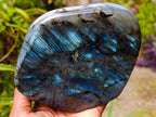 Polished Labradorite Standing Free Forms x 3 From Madagascar