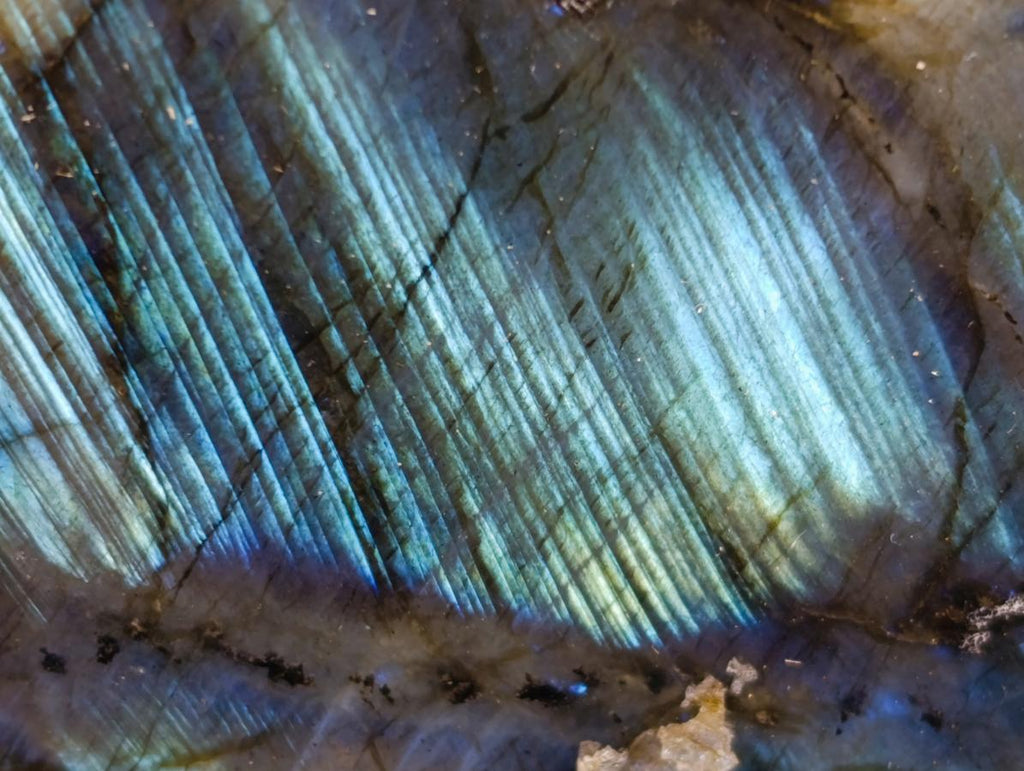 Polished Labradorite Standing Free Forms x 3 From Madagascar