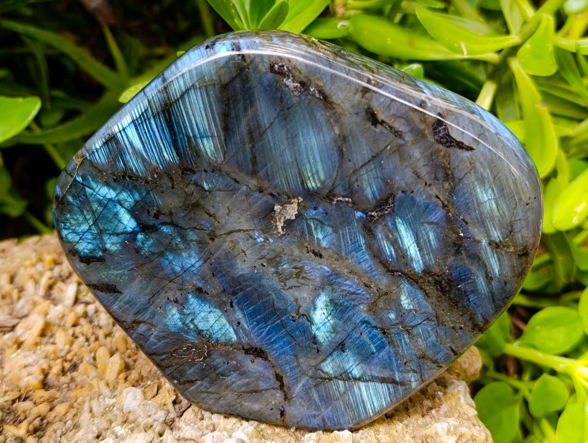 Polished Labradorite Standing Free Forms x 3 From Madagascar