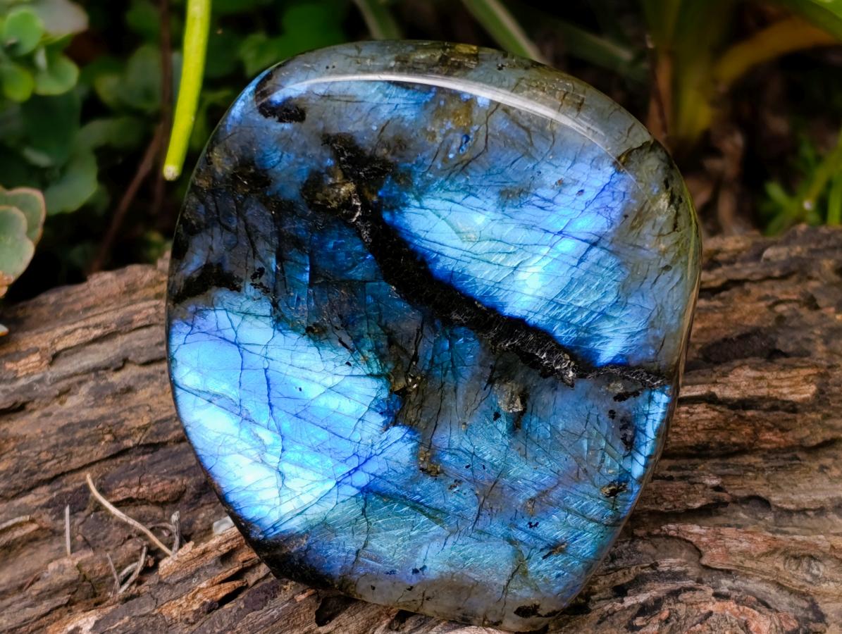 Polished Labradorite Standing Free Forms x 3 From Madagascar