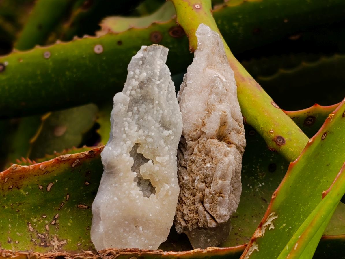Natural Drusy Quartz Coated Spearhead Calcite Crystals x 35 From Albert's Mountain, Lesotho