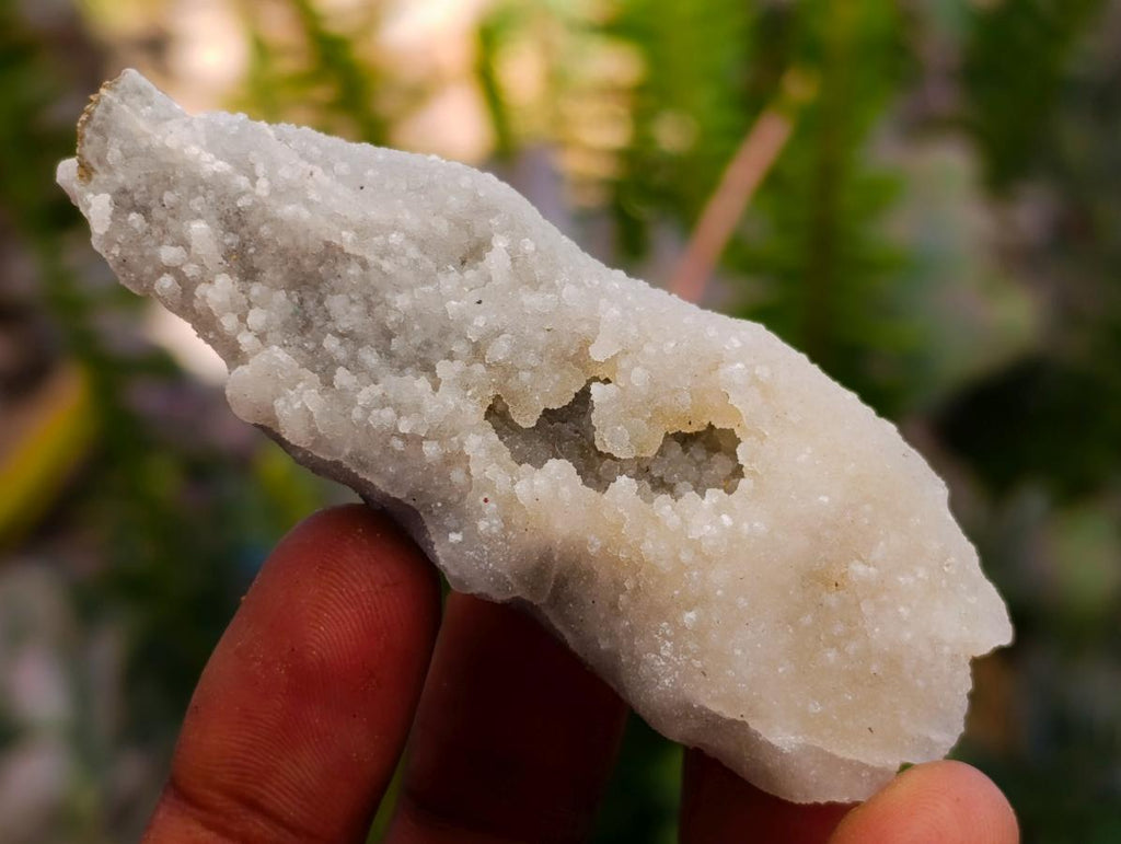 Natural Drusy Quartz Coated Spearhead Calcite Crystals x 35 From Albert's Mountain, Lesotho