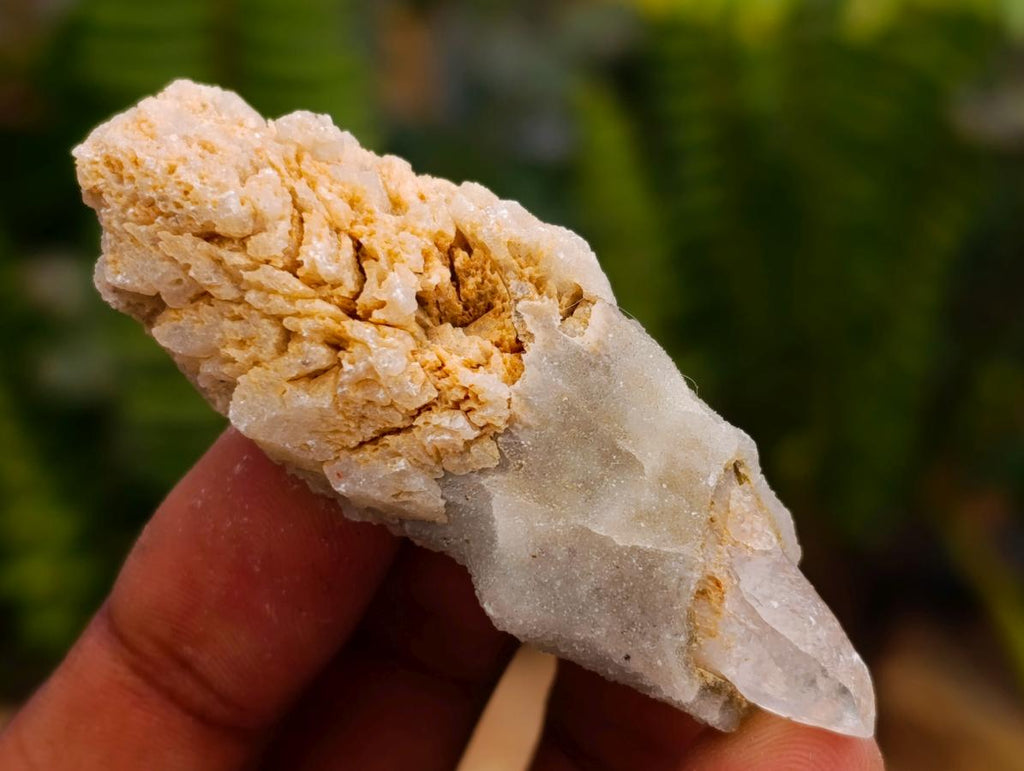 Natural Drusy Quartz Coated Spearhead Calcite Crystals x 35 From Albert's Mountain, Lesotho