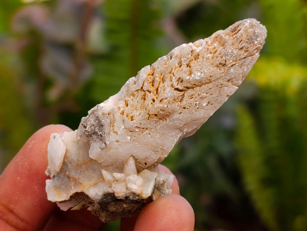Natural Drusy Quartz Coated Spearhead Calcite Crystals x 35 From Albert's Mountain, Lesotho
