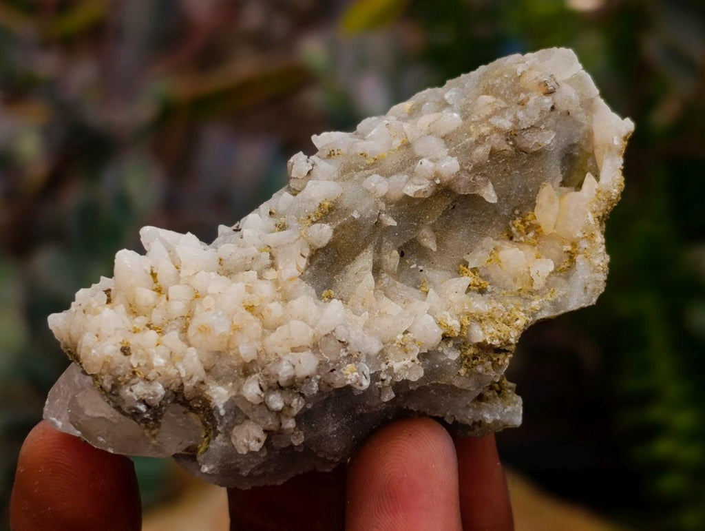 Natural Drusy Quartz Coated Spearhead Calcite Crystals x 35 From Albert's Mountain, Lesotho