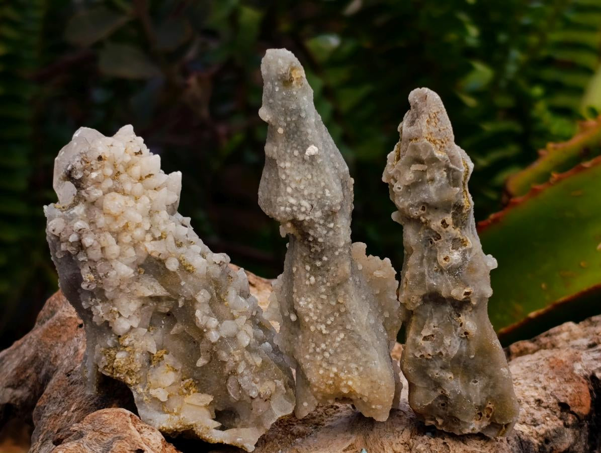 Natural Drusy Quartz Coated Spearhead Calcite Crystals x 35 From Albert's Mountain, Lesotho