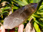 Natural Morion Smokey Quartz Crystals x 36 From Zomba Plateau, Malawi