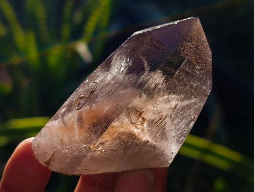 Natural Morion Smokey Quartz Crystals x 36 From Zomba Plateau, Malawi