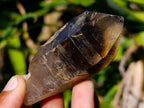 Natural Morion Smokey Quartz Crystals x 36 From Zomba Plateau, Malawi