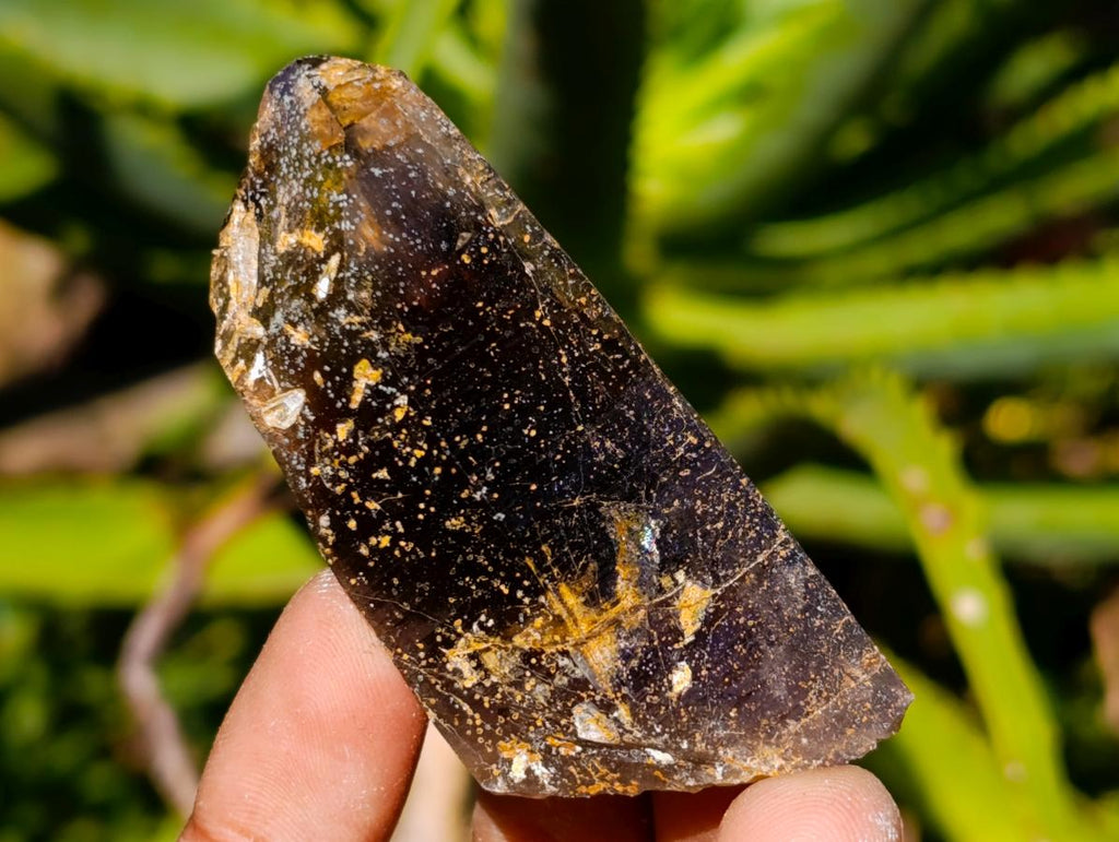 Natural Morion Smokey Quartz Crystals x 36 From Zomba Plateau, Malawi