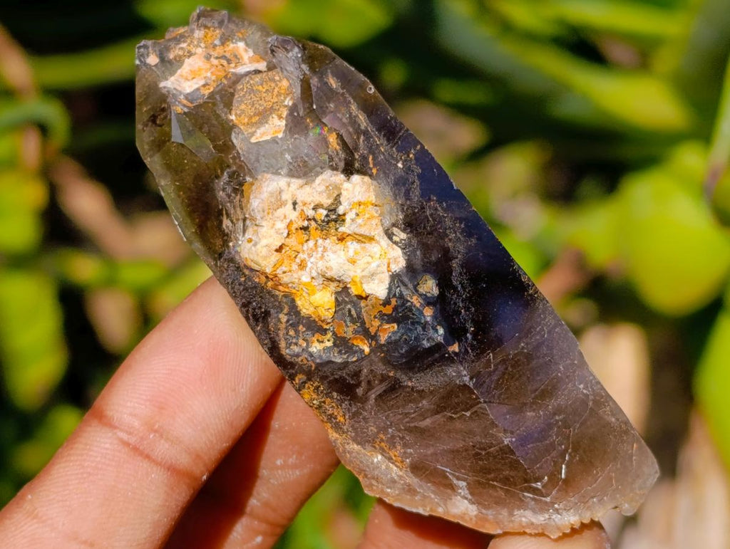 Natural Morion Smokey Quartz Crystals x 36 From Zomba Plateau, Malawi