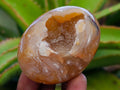Polished Flower Agate Palm Stones x 12 From Antsahalova, Madagascar