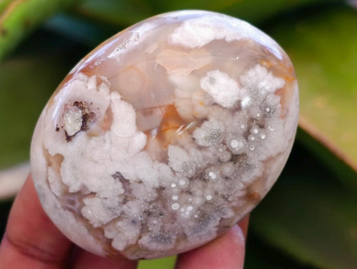Polished Flower Agate Palm Stones x 12 From Antsahalova, Madagascar