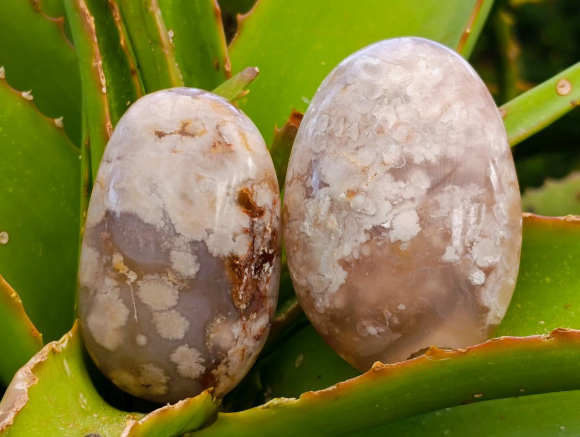Polished Flower Agate Palm Stones x 12 From Antsahalova, Madagascar