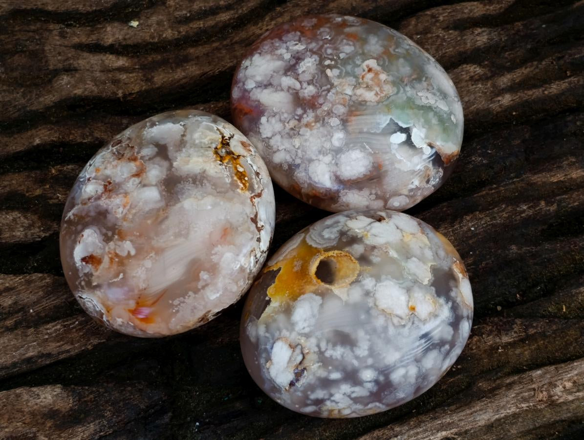 Polished Flower Agate Palm Stones x 12 From Antsahalova, Madagascar