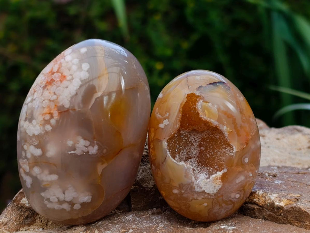 Polished Flower Agate Palm Stones x 12 From Antsahalova, Madagascar