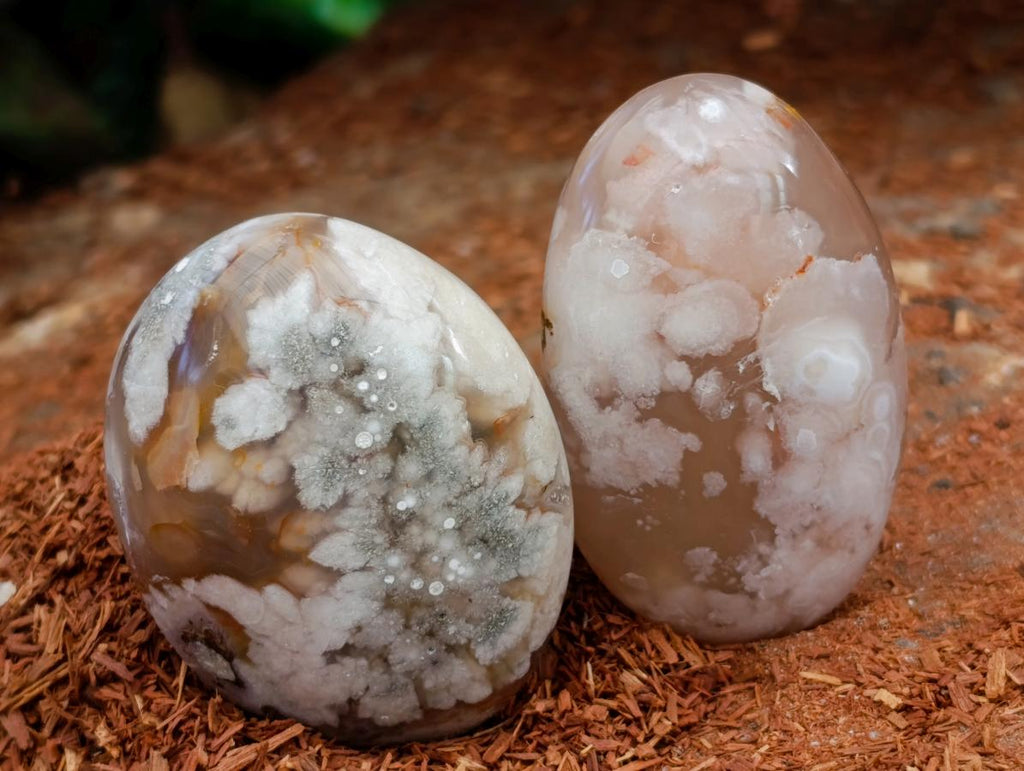 Polished Flower Agate Palm Stones x 12 From Antsahalova, Madagascar